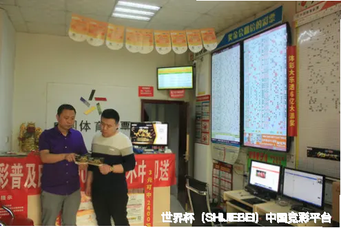 核心团队：专业与经验